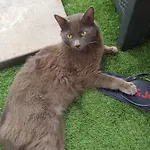 아파트 Panorama *