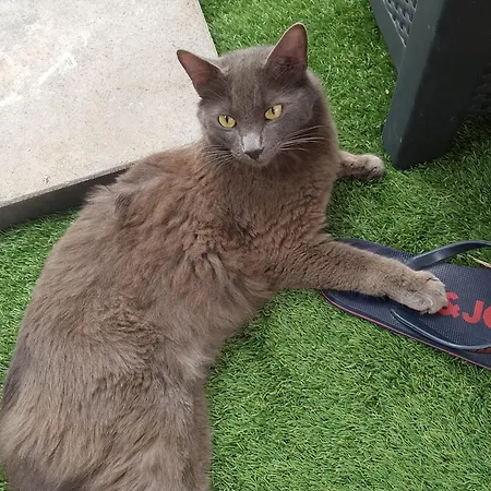 Apartamento Panorama *